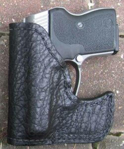 Guardian 380 in holster photo