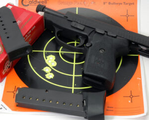 P239 target photo