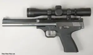 Excel Arms MP22 with scope