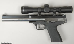 Excel Arms MP22 with scope