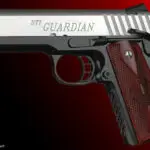 STI Guardian