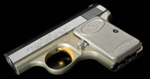 Precision Small Arms PSA-25 The Featherweight model (aluminum frame).
