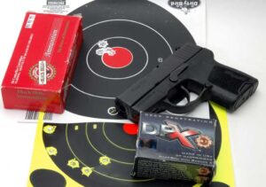 SIG Sauer P290 targets photo