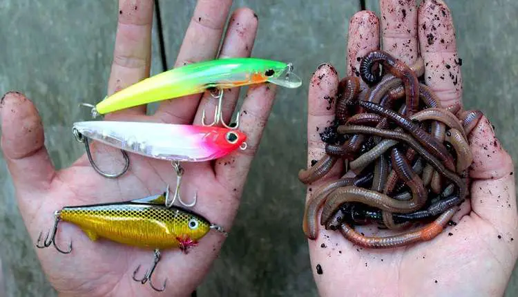 travel fishing bait