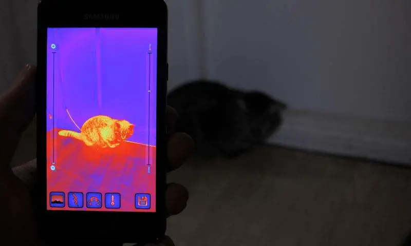 5 Ways to Use Your Cell Phone as a Thermal Camera | Reload Your Gear