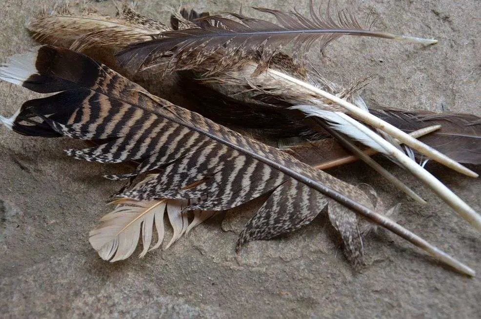 making fletchings for arrows