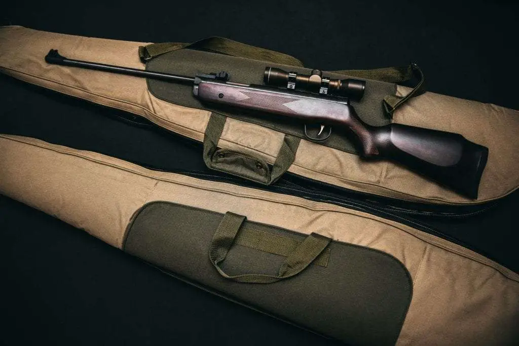 Best Air Rifle for Hunting