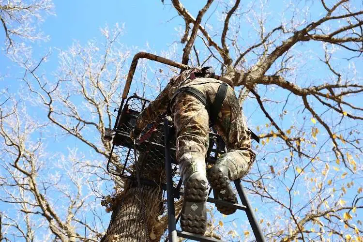 Hunter Climbing on Treestand