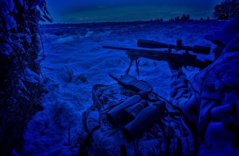 Night Hunting: Legality, Tips and Safety Concerns