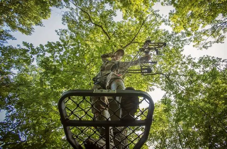 Hunting On Tree Stand