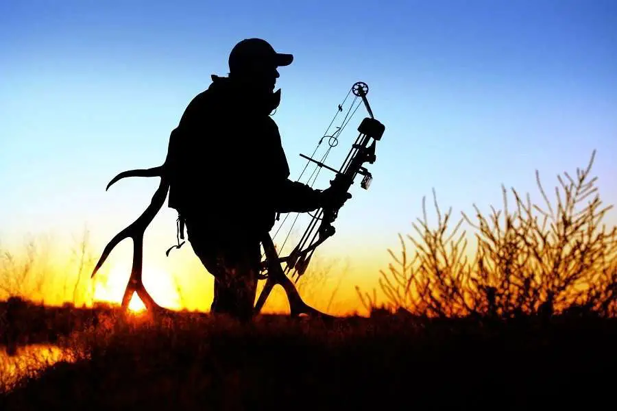 7 Tips For Bow Hunting