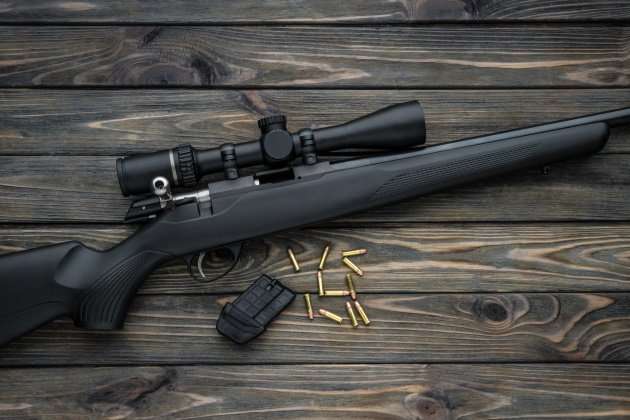 a good scope for a 223 bolt action rifle