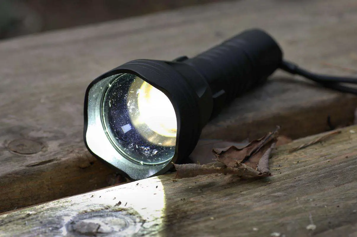 Best Light for Coyote Hunting at Night [2024 Review] Reload Your Gear