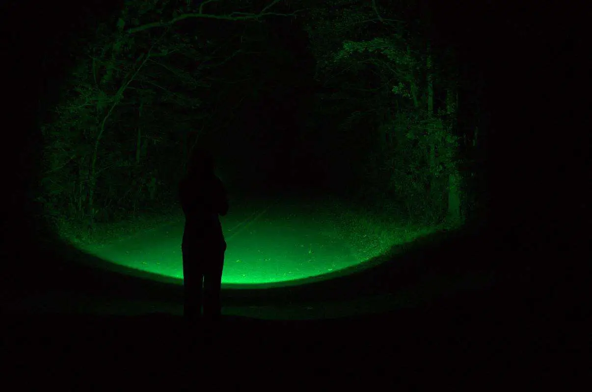 Best Light for Coyote Hunting at Night [2024 Review] Reload Your Gear