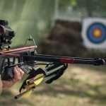 A Complete Guide to the Best Crossbow Targets