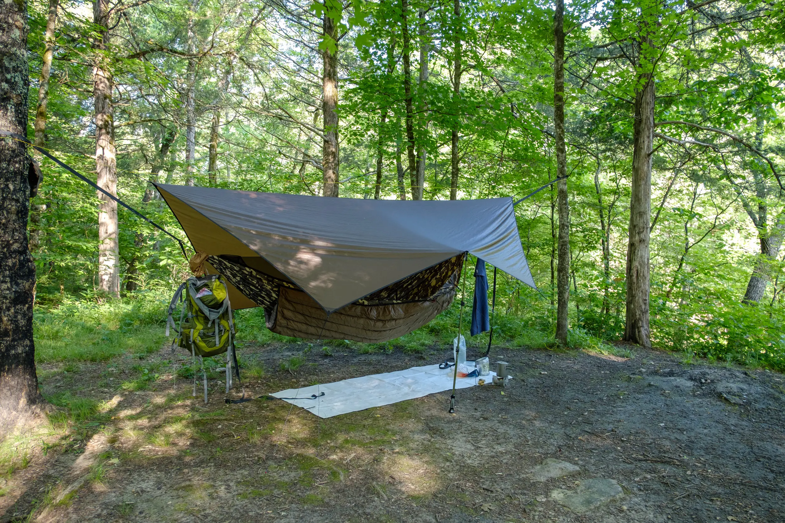 Best Tarp for Hammock Camping and Backpacking in 2024