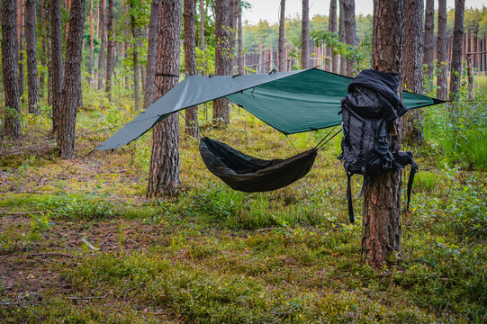 Best tarp for hammock camping